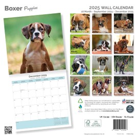 Baker and Bray Boxer Dog Puppies Calendar 2025, Large Square Wall Calendar, 16 Month, Boxer Dog Puppies Gift Dog Calendar.
