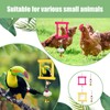 Bodeshis 2 Pcs Chicken Toys for Hens, Chicken Coop Accessories