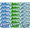 Extrra Sugar Free Chewing Gum, Mint Variety Pack, 15 Sticks