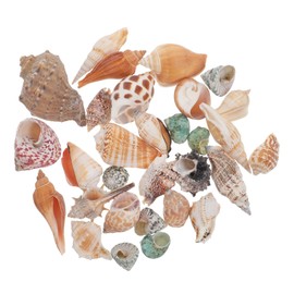 Mipcase Natural Conch Fish Tank Ornament Realistic Crab Shell Replacement for Aquarium Decoration Safe Non Toxic Sea Shells for Freshwater and Saltwater Tanks Home and Office Adornments