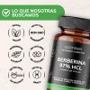 Quotidien | 500mg De Berberina Clorhidrato Con Canela De Ceylán,