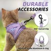 Arblina Soft Mesh Kitten Harness and Leash Set for Walking,