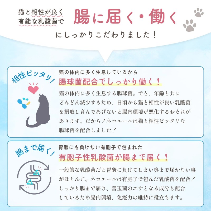 Cat Lactic Acid Bacteria Supplement, Intestinal Environment, Immune, Oral, Brushy,