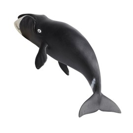 Safari Ltd. Bowhead Whale Figurine - Detailed 8.25" Plastic Model Figure - Fun Educational Play Toy for Boys, Girls & Kids Ages 3+