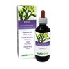 Bladder Tang (Fucus vesiculosus) Thallus (Alga) Alcohol-Free Mother Tincture Naturalma