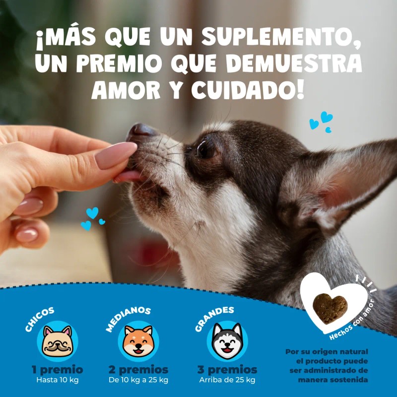 Waggys® Relax Suplemento Natural Para Estrés Y Ansiedad 60pz