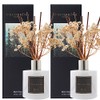 Cocorrína Premium Reed Diffuser Set with Preserved Baby's Breath &