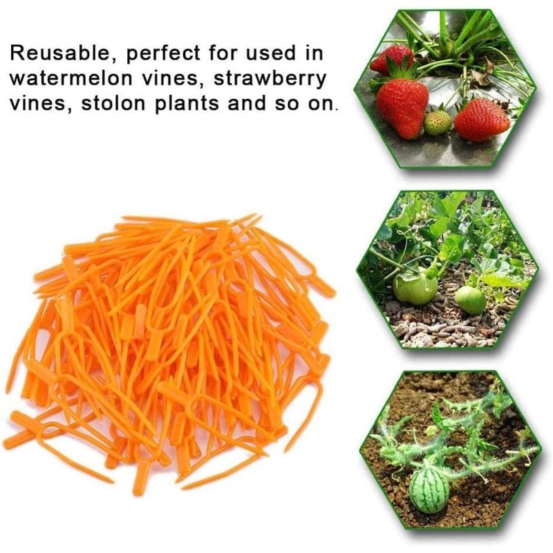 Juroicessry 50Pcs Gardening Plant Fixing Clips,Plastic Plant Climbing Support Clips