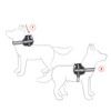 EZYDOG Convert Dog Harness | Magnetic Handle, Anti Pull Harness,