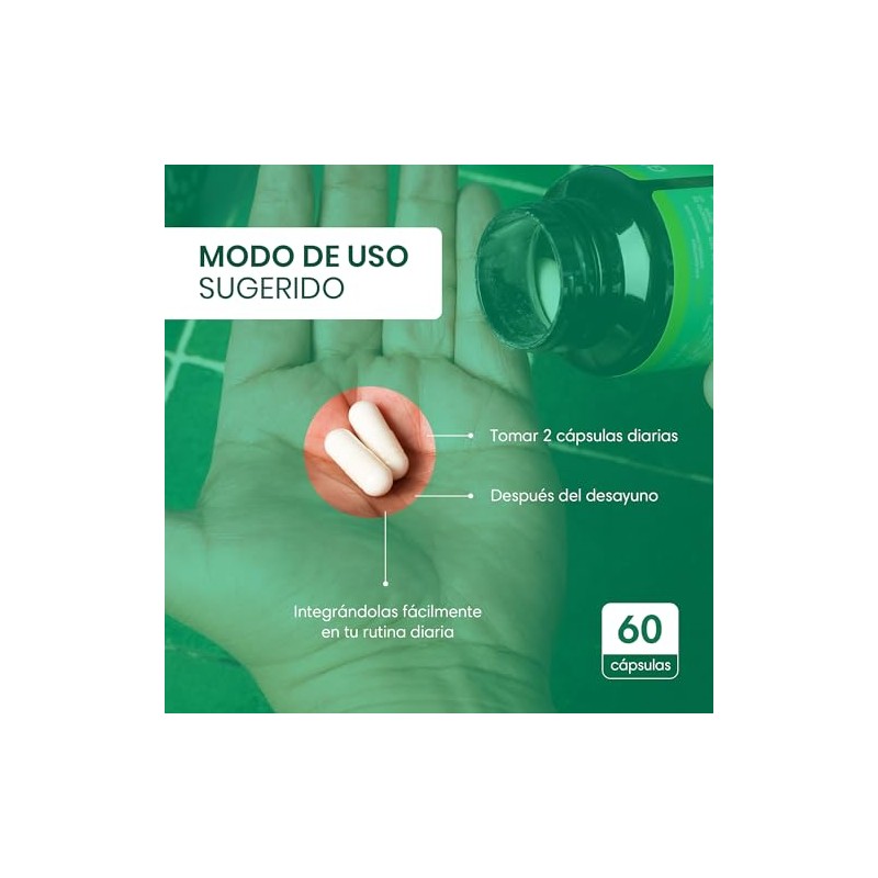 Gut Probiotic Suplemento Natural Probióticos Prebióticos Enzimas Digestivas Citrato Magnesio