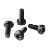 Black Stainless License Plate Screws Compatible with Toyota, Lexus, Honda