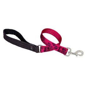LupinePet Originals 1" Plum Blossom 2-Foot Traffic Lead/Leash for Medium and Larger Dogs