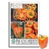Orange Sun Bell Pepper Seeds (Capsicum annuum) – 100+ Non-GMO
