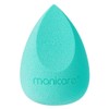 Manicare Biodegradable Make Up Blender