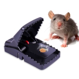 M2R Company Crocodile Teeth Mouse Trap
