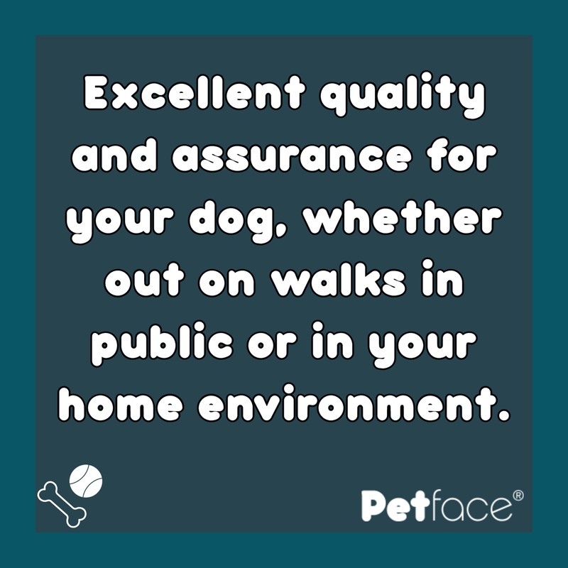 Petface Tonal Dots Print Dog Collar, Large, Light Grey