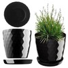 Kadax Decorative Flower Pot, for Flowers and Plants, with bottom