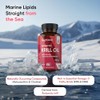 Antarctic Krill Oil Capsules - 1200mg - 3 Months Supply