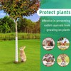 Tree Trunk Protector Plastic Spiral Tree Guard Tree Bark Protector