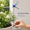 12-Pack Blue Dragonfly Garden Decorations – Realistic Clip-On Outdoor Accents