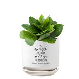 Lighthouse Christian Products Inspirational Herb Succulent Flower Planter Pot 5 Inch Ceramic Strength for Today