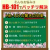 Flora HB-101 500cc PlantLiquid which strengthens very much the plant