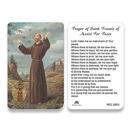 Holy cards for Catholics including St Jude Our Lady of Guadalupe St Michael St Joseph St Anthony Prayer and Others (St. Francis)