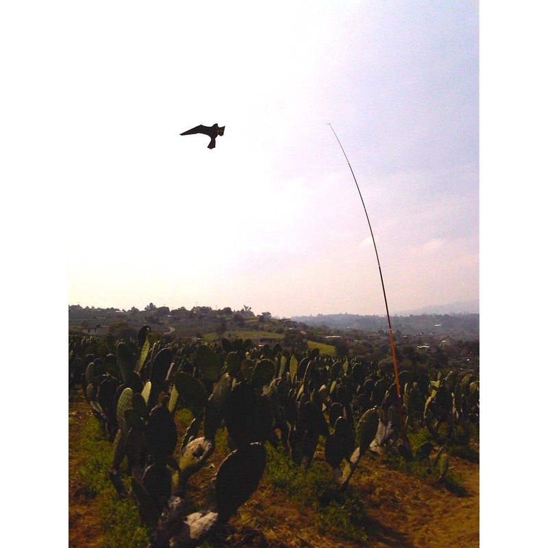 BIRD SCARER/ PEST BIRD DETERRENT