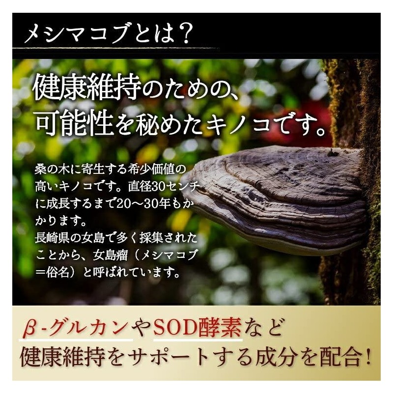 渡邊薬品 超微粉純末 天然メシマコブ 純末100% 30g (1)