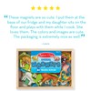 Melissa & Doug Wooden Animal Magnets Set (20 Pieces) –