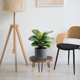Plant Stand Indoor Outdoor, Mid Century Style Walnut Wood Color Plant Stand,Waterproof Design Modern Plant Table,Easily Assemble Come With Tools,Nice For Room Decor (M)