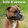 BRONZEDOG Pitbull Dog Muzzle Metal Mask Amstaff Wire Basket Pit