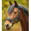 WALDHAUSEN Economic Lunging Halter Fir Green VB