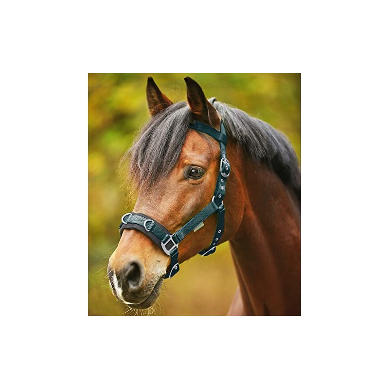 WALDHAUSEN Economic Lunging Halter Fir Green VB