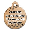 Spoilt Rotten Pets 19mm Mischief Managed Pawrauders Map Wizard Dog