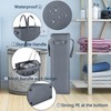 Odonata Slim Laundry Hamper Handles Collapsible Laundry Basket Thin Dirty