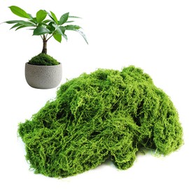Fake Green Moss for Potted Plants Indoor, 5.3oz Artificial Moss for Crafts, Faux Decor for DIY Decorative, Model Making, Walls, Glass Containers