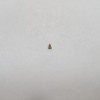 Atlas HO DASH 8-40C CW LOCO -BELL ITEM# 1162M001
