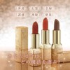 Milfee Fairy Rouge (06 Dream) Cocoa Brown 3g Lip Lipstick
