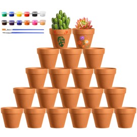 Realure Pack of 20 Clay Pots for Succulents, Small Flower Pots, Terracotta with Colours and Brushes, Terracotta Pots with Drainage Hole, Clay Pot Flower Pot 4.5 x 4 cm for Succulents, Cactus, Indoor