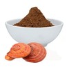 SABIA MADRE TIERRA - REISHI 100GR - EXTRACTO EN POLVO