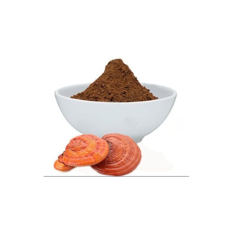 SABIA MADRE TIERRA - REISHI 100GR - EXTRACTO EN POLVO