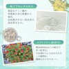 Ginza Marukan Mecha Young 93 Tablets, Saitou Hitsu Supplement, Royal