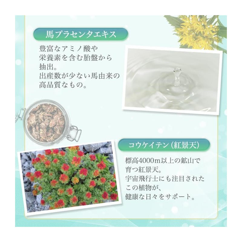 Ginza Marukan Mecha Young 93 Tablets, Saitou Hitsu Supplement, Royal