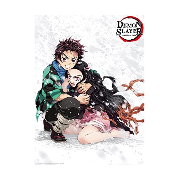 ABYstyle Demon Slayer Tanjiro & Nezuko Snow Poster 38 x