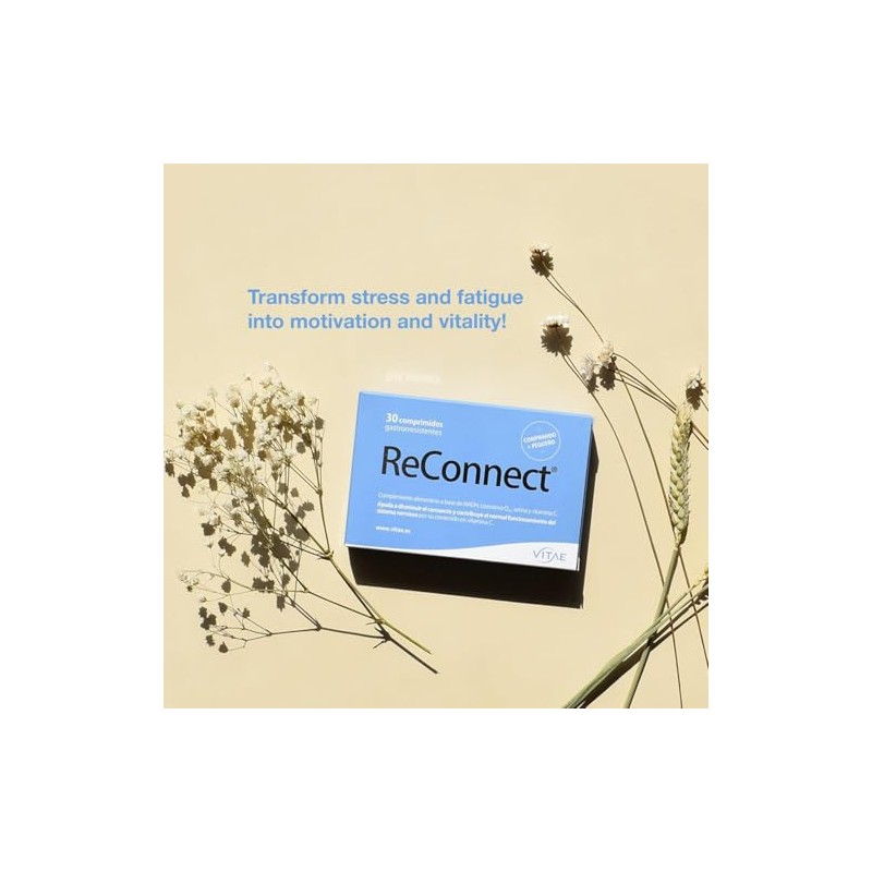 Vitae ReConnect | NADH, CoQ10, Serine, Vitamin C | Energy