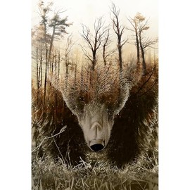 WOZUIBAN Adult Puzzle Classic Jigsaw Puzzle 1000 Pieces Wooden Puzzle DIY Forest Map Bear Modern Home Decor Unique Gift Intellectual Game 75x50cm