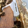 New Reusable Extra Long Beetle Trap with Completely Removable Top