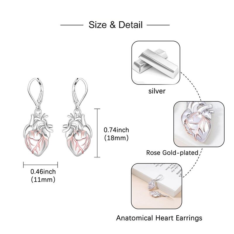 Anatomical Heart Earrings for Women - Silver Gothic Dangle Earrings