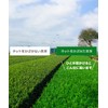 Shizuoka Prefecture First Picked Ichiban Tea 100% Green Tea Leaf